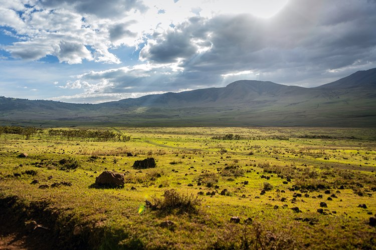 TZA ARU Ngorongoro 2016DEC25 006